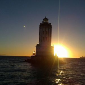 Meet your Posher, Oscar